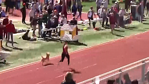 Utah'da Atletizm Yarışmasını 'Köpek' Kazandı!