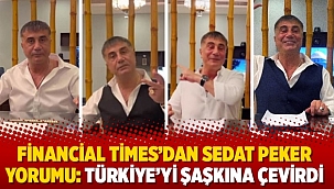 FT: Türkiye'yi Şaşkına Çevirdi