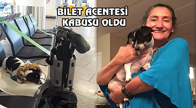 New Jersey'de ki Acenteden Bilet Aldı ve...