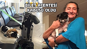 New Jersey'de ki Acenteden Bilet Aldı ve...
