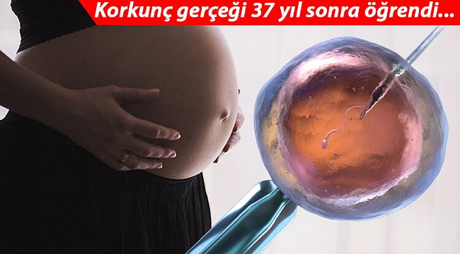 New Jersey'de Tüp Bebek Skandalı