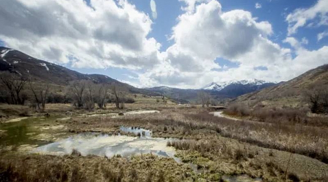Utah'ta 5 Aydır Kayıp Kadın Ormanda Bulundu