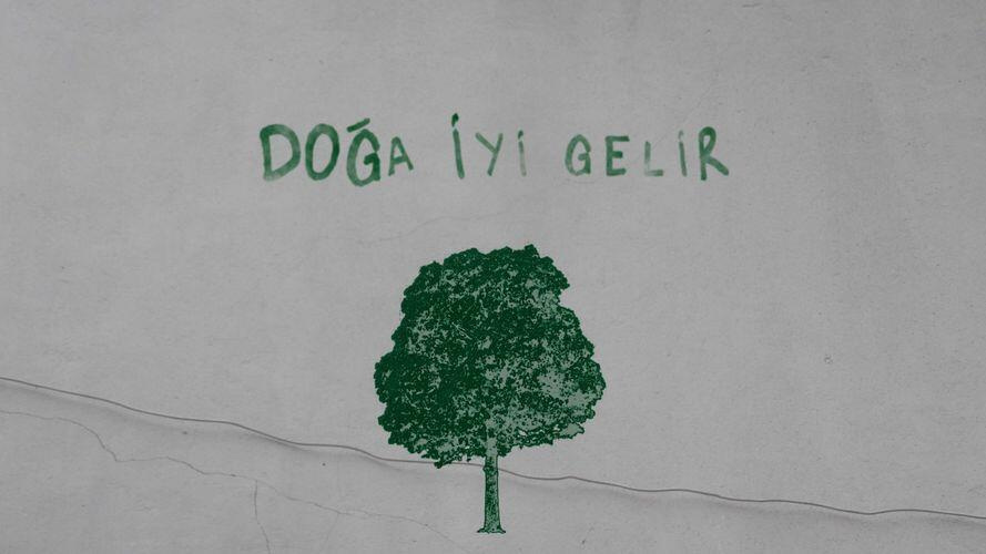 Çukur Ormanı bağışı nasıl yapılır? Çukur 'Doğa Nef