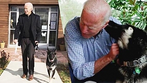 Başkan Biden'ın Köpeği Öldü
