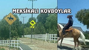 California'da 'Dikkat Atlı Çıkabilir' Levhası