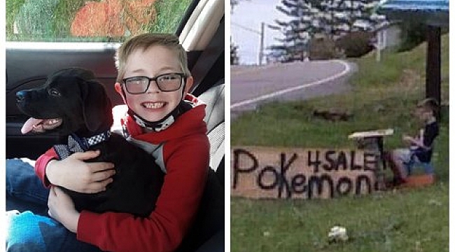 Köpeğinin Ameliyatı İçin Pokemon Kartlarını Satışa Çıkardı