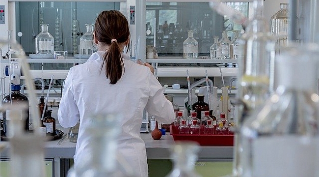 ABD'de İlaca Dirençli Ölümcül Mantar Yayılıyor
