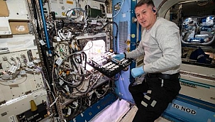 NASA Uzayda Acı Biber Yetiştiriyor! 