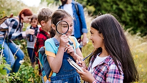 NYC'nin K-12 Sınıflarında Ücretsiz Yaz Kampı