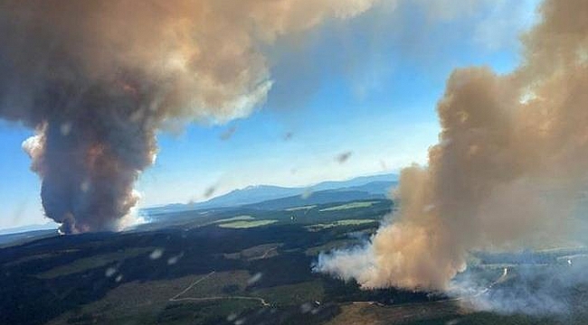 Oregon'da Sıcaklar 63 Can Aldı