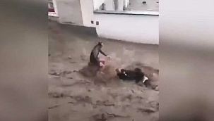 Türk Çifti Selden Avusturyalı Komşuları Kurtardı