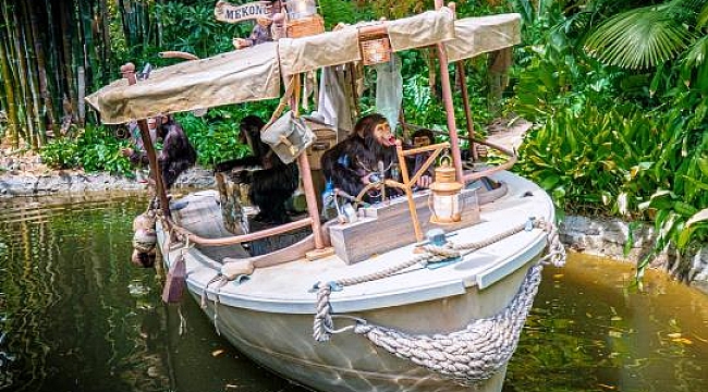 Universal Orlando'dan Sonra Bir Irkçı Tutum da Disney'den!