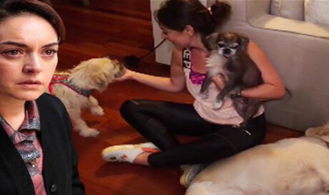 Ezgi Mola'nın acı günü! Köpeği vefat etti