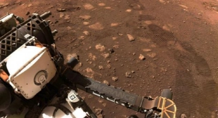 NASA İlanla Gönüllü Arıyor