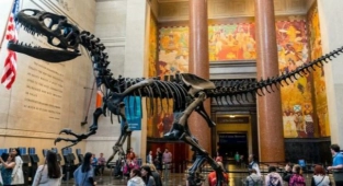 New York'ta  Müzelere Girmek İçin Aşı Şart