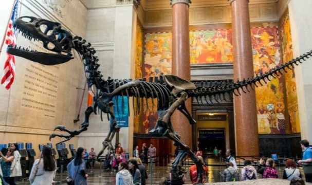 New York'ta Müzelere Girmek İçin Aşı Şart