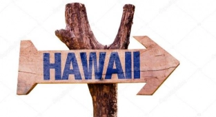 Sahte Aşı Kartlarıyla Hawaii'ye Uçacaklardı