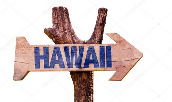 Sahte Aşı Kartlarıyla Hawaii'ye Uçacaklardı