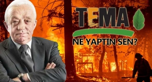 Tema Vakfı, Cengiz Holding'in Bağışını Reddetti