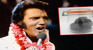 Dünyaca ünlü yıldız Elvis Presley'in saçları açık arttırmada satıldı! 605 bin TL...