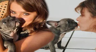 İlayda Alişan'ın köpeği Fred senaryoyu yedi