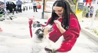 Köpeğiyle şov yaptı