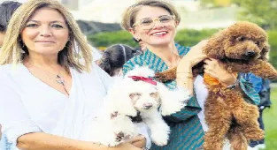 Patili dostlar için