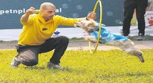 Can dostların festivali