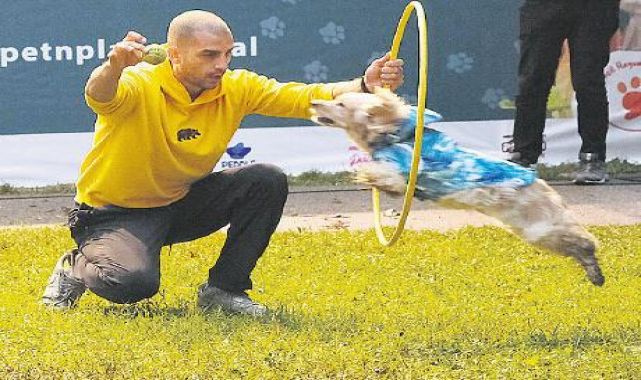 Can dostların festivali
