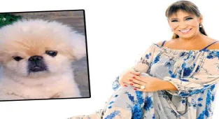 Köpeği kanser oldu