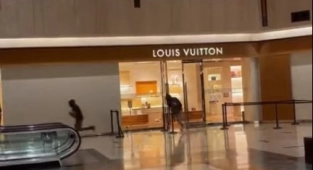 Northbrook Court Mall'deki Louis Vuitton Soyuldu!