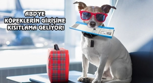 ABD'ye Ocak'tan Sonra Köpekle Gelecekler, Dikkat!