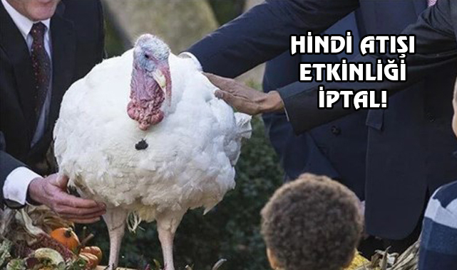 ABD'de İkiye Katlanan Hindi Fiyatları Geleneği Bozdu