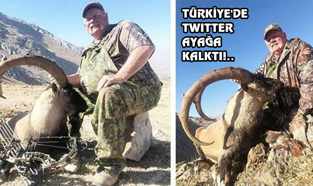 ABD'den Kahramanmaraş'a Yaban Keçisini Öldürmeye Geldi