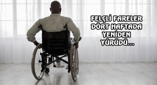 ABD'li Bilimadamları Sayesinde Felç, Tarih Oluyor!