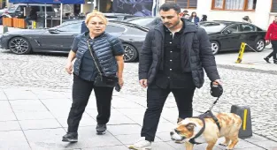 Boğaz turu