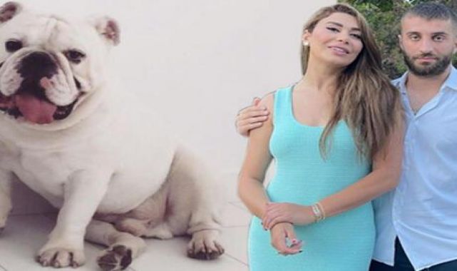 Ebru Şancı köpeği Thedore'u kaybetti!