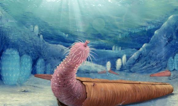 İşte En Eski Canlı: Penis Solucanları