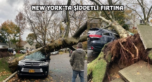 New York'ta Fırtına Ağaçları Devirdi