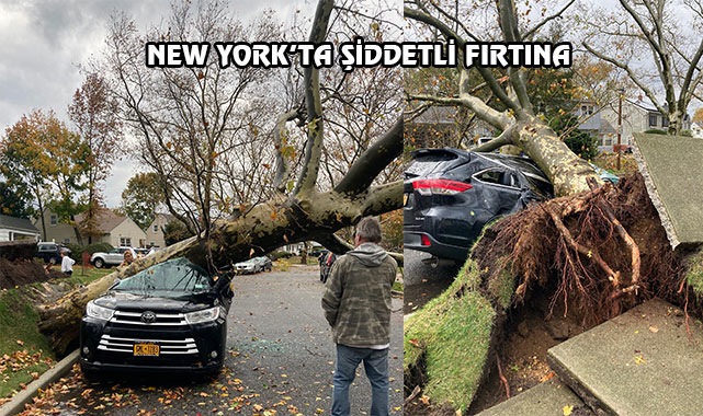 New York'ta Fırtına Ağaçları Devirdi