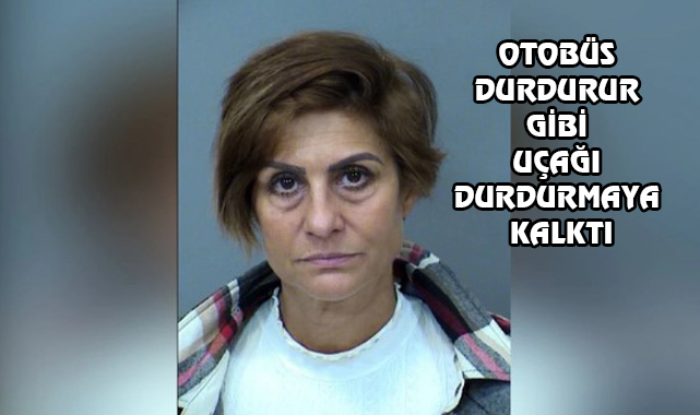 ABD'de Uçağı Kaçıran Kadın, Piste Atlayınca...