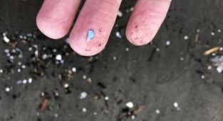 Alaska'da Gökten Plastik Yağdı