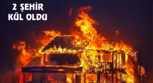Colorado'da 600 Ev Kül Oldu
