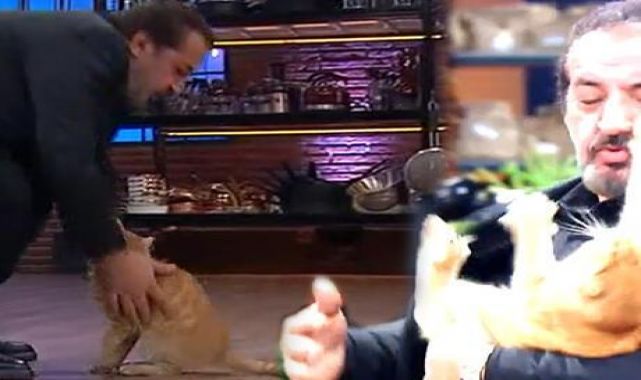 HABERLER || Fragmana kedi ile Şef Mehmet Yalçınkaya damga vurdu!