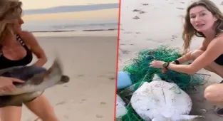 Kaplumbağa kahramanı Gisele Bündchen