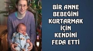 Wisconson'de Pitbull Dehşeti
