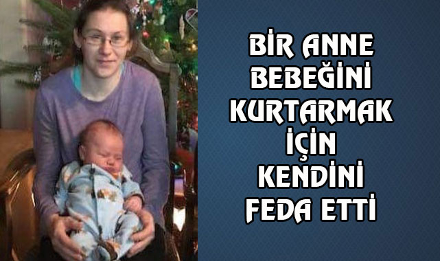 Wisconson'de Pitbull Dehşeti