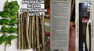 Amerika'da Misvak Kullanımı Artıyor