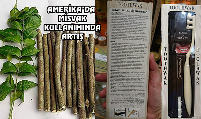 Amerika'da Misvak Kullanımı Artıyor