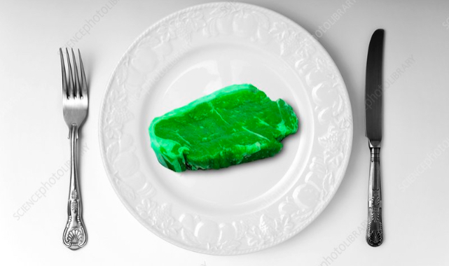 Can Artificial Meat Save The Planet?